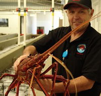 Lobster Shack - Tourism Canberra