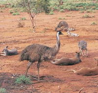 Hammond Park - Tourism Canberra