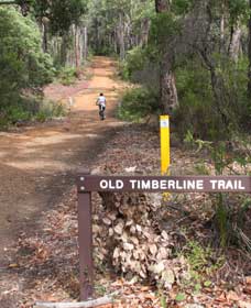 Yoganup WA Tourism Canberra