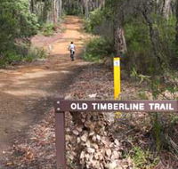 Old Timberline and Sidings Rail Trails - Tourism Canberra