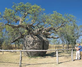 Derby WA Tourism Canberra