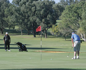 Spalding Park - Tourism Canberra 0