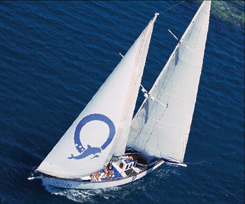Ocean Free & Ocean Freedom - Cairns Premier Reef And Island Tours - Tourism Canberra 0