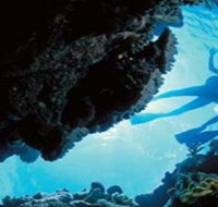 Deep Sea Divers Den - Tourism Canberra