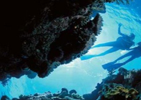 Deep Sea Divers Den - Tourism Canberra 0