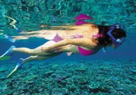 Deep Sea Divers Den - Tourism Canberra 1