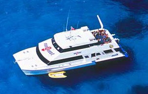 Deep Sea Divers Den - Tourism Canberra 3