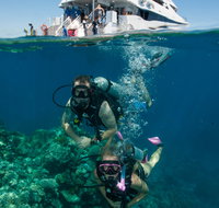 Down Under Cruise and Dive - Tourism Canberra