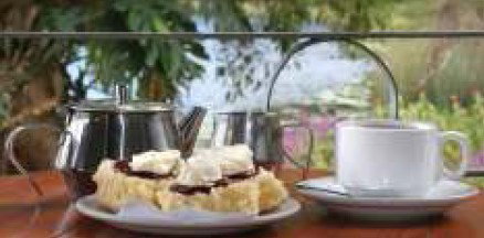 Food Trails Tours - Tourism Canberra 2