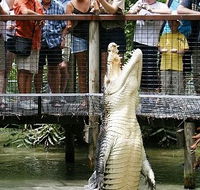 Hartley's Crocodile Adventures - Tourism Canberra