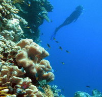 Reef Magic Cruises - Tourism Canberra