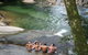 Small World Journeys - thumb 2