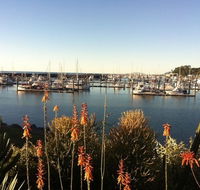 Mantaray Charters - Tourism Canberra