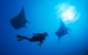Adrenalin Snorkel And Dive - thumb 1
