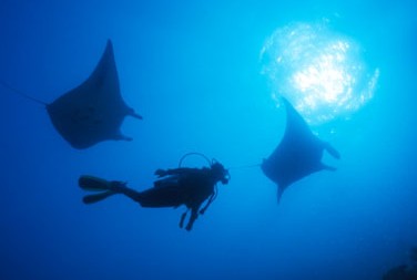 Adrenalin Snorkel And Dive - Tourism Canberra 1