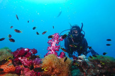 Adrenalin Snorkel And Dive - Tourism Canberra 3