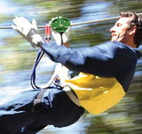 Adventure Parc - Tourism Canberra