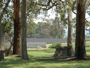 Broadwater QLD Tourism Canberra