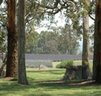 Aloomba Lavender - Tourism Canberra
