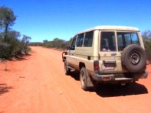 Araucaria Ecotours - Tourism Canberra 2
