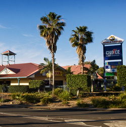 Koala Tavern - Tourism Canberra 0