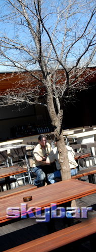 Alma Tavern - Tourism Canberra 2