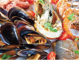 Pelagos Greek Tavern - Tourism Canberra 2