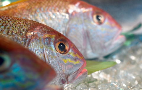 Coro Hotel - Lure Seafood Restaurant - Tourism Canberra 0