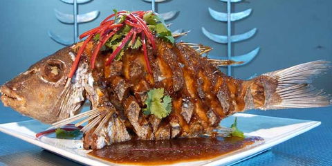 Fish On Parkyn - Tourism Canberra 5