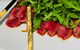 Fusion 54 Bar & Bistro - thumb 0