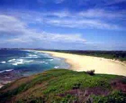 Iluka Tavern - Tourism Canberra 1