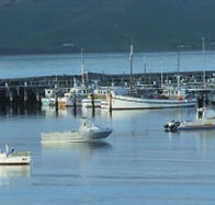 The Apollo Bay Hotel - Tourism Canberra