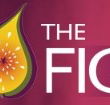Naked Fig - Tourism Canberra