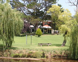 Bendemeer Hotel - Tourism Canberra 3
