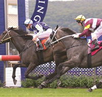 Gosford Race Club - Tourism Canberra