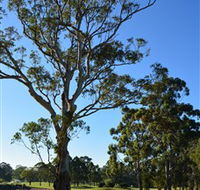 Ryde-Parramatta Golf Club - Tourism Canberra