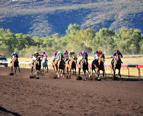 Alice Springs Turf Club - Tourism Canberra 6
