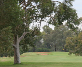 Tocumwal Golf Club - Tourism Canberra 2