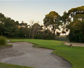 Anglesea Golf Club - Tourism Canberra 4