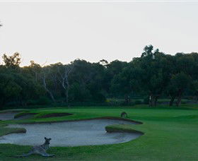 Anglesea Golf Club - Tourism Canberra 8