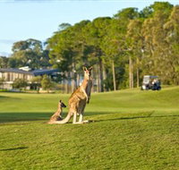 Sanctuary Cove Golf and Country Club - Tourism Canberra
