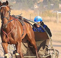Ballarat  District Trotting Club - Tourism Canberra