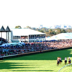 South Australian Jockey Club - Tourism Canberra 0