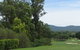 Murwillumbah Golf Club - thumb 0