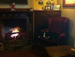 Royal Cricketers Arms - Tourism Canberra 2