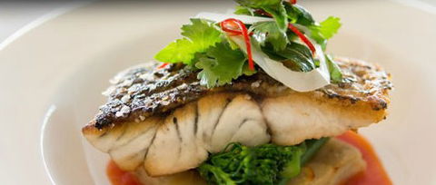 Orso Bayside Restaurant - Tourism Canberra 1