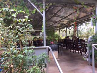 Alice Vietnamese Restaurant - Tourism Canberra 4