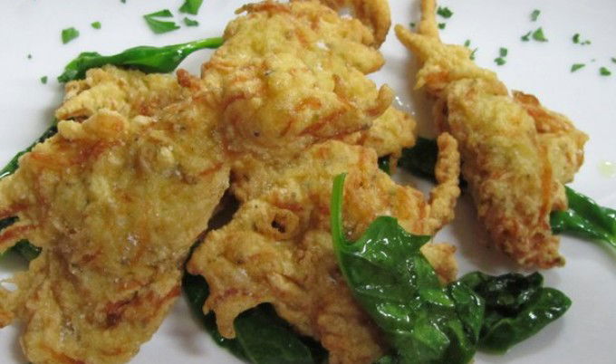 Haberfield NSW Tourism Canberra