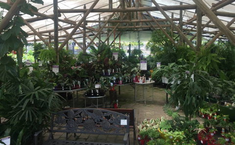 Limberlost Nursery & Garden Centre - Tourism Canberra 1