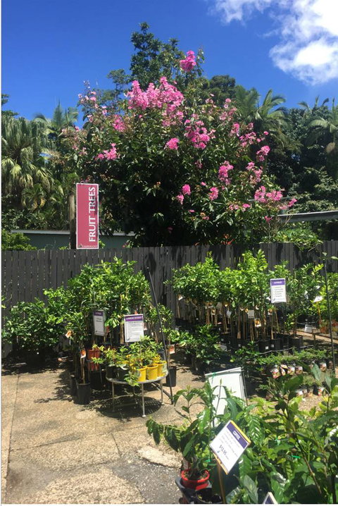 Limberlost Nursery & Garden Centre - Tourism Canberra 3